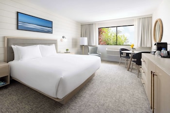 Room, 1 King Bed