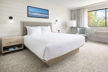 Room, 1 King Bed, Accessible, Bathtub