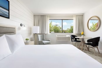 Room, 1 King Bed, Accessible, Bathtub