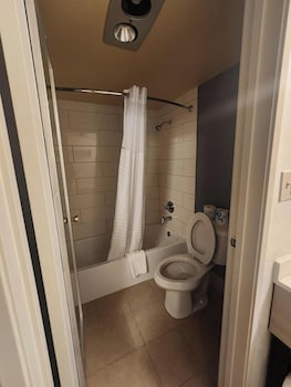Standard Studio, 1 King Bed, Refrigerator & Microwave