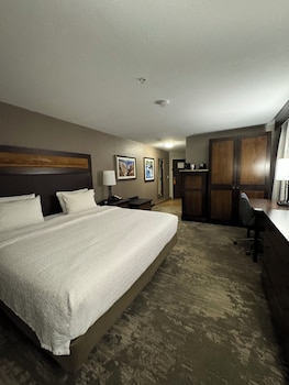 Room, 1 King Bed, Accessible (Mobility & Hearing, Roll-In Shower)