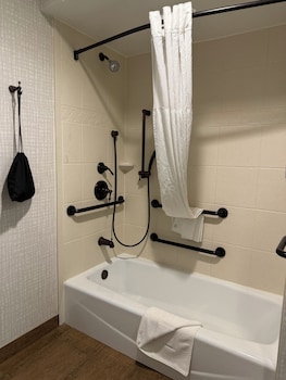 Studio, 1 King Bed, Accessible, Bathtub (Mobility & Hearing)