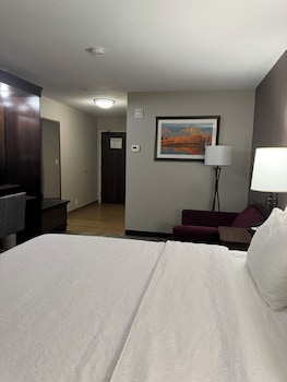 Room, 1 Queen Bed, Accessible (Mobility & Hearing, Roll-in Shower)