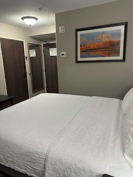 Room, 1 King Bed with Sofa bed, Non Smoking