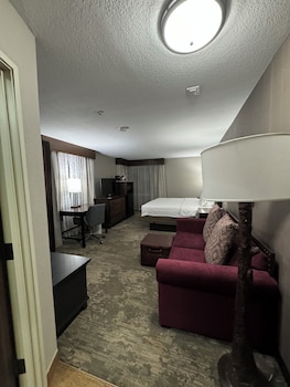 Room, 1 King Bed with Sofa bed, Non Smoking