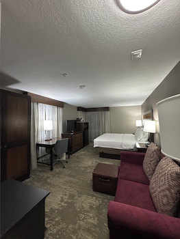 Room, 1 King Bed with Sofa bed, Non Smoking