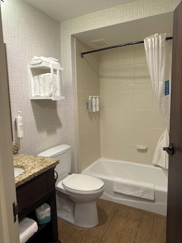Suite, 1 King Bed, Bathtub