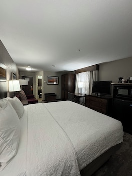 Room, 1 King Bed, Accessible (Mobility & Hearing, Roll-In Shower)