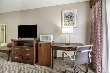 Room, 1 King Bed, Accessible, Non Smoking (Efficiency)