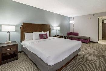 Room, 1 King Bed, Accessible, Non Smoking (Efficiency)