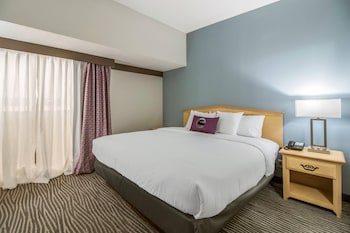 Suite, 1 Kind Bed with Sofa bed, Non Smoking