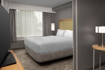 Suite, 1 King Bed with Sofa bed, Hearing Accessible (Accessible Bathtub)