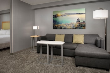 Suite, 1 King Bed with Sofa bed, Hearing Accessible (Accessible Bathtub)