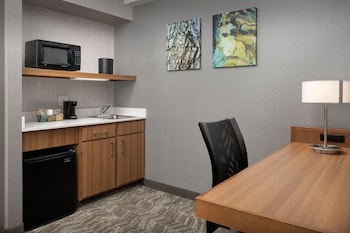 Suite, 1 King Bed with Sofa bed, Hearing Accessible (Accessible Bathtub)