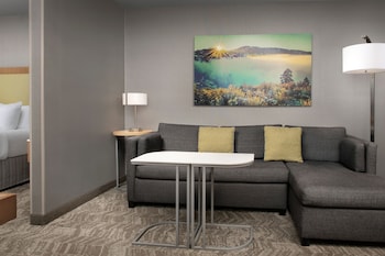 Suite, Multiple Beds