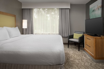 Suite, 1 Bedroom, Accessible Bathtub