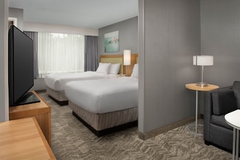 Suite, Multiple Beds