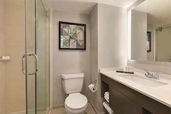 Suite, 1 King Bed, Shower