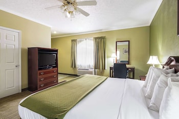Room, 1 King Bed, Non Smoking
