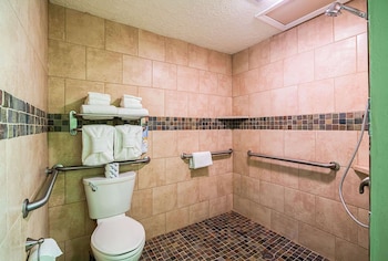 Room, 1 King Bed, Accessible, Non Smoking
