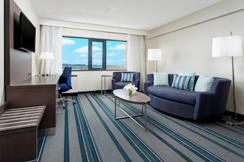 Suite, 1 King Bed with Sofa bed