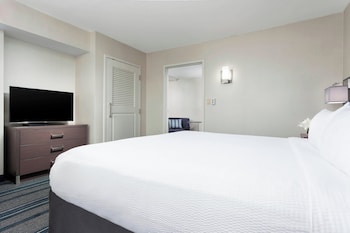Suite, 1 King Bed with Sofa bed