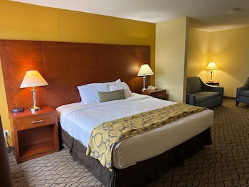 Studio Suite, 1 King Bed, Non Smoking