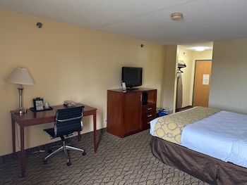 Room, 1 King Bed, Non Smoking