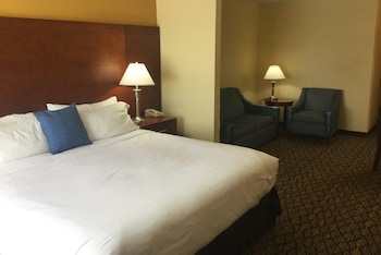 Studio Suite, 1 King Bed, Non Smoking