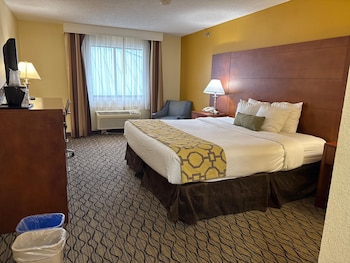 Room, 1 King Bed, Non Smoking
