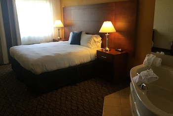 Studio Suite, 1 King Bed, Non Smoking (Notre Dame)