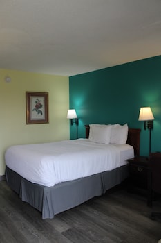 Room, 1 Queen Bed, Accessible, Non Smoking (Mobility/Hearing, Tub w/ Grab Bars)
