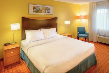 Room, 1 King Bed