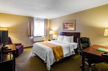 Standard Room, 1 King Bed, Non Smoking (Pet Friendly)