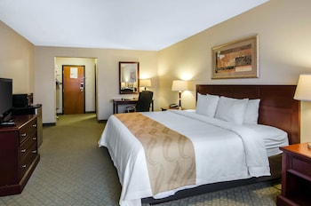 Standard Room, 1 King Bed, Non Smoking (Pet Friendly)