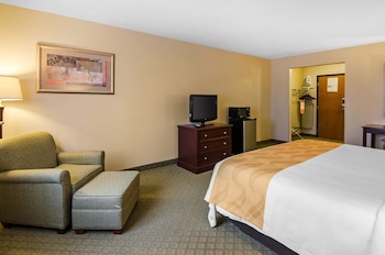 Standard Room, 1 King Bed, Non Smoking (Pet Friendly)