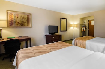 Standard Room, 2 Queen Beds, Non Smoking (Pet Friendly)