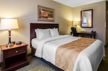 Room, 1 Queen Bed, Non Smoking