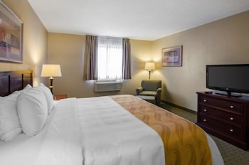 Standard Room, 1 King Bed, Non Smoking (Pet Friendly)