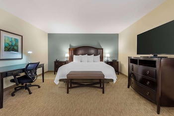 Suite, 1 King Bed, Microwave