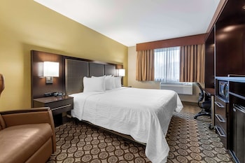 Standard Room, 1 King Bed, Accessible, Refrigerator & Microwave