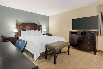 Suite, 1 King Bed, Microwave