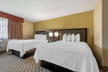 Standard Room, 2 Double Beds, Refrigerator & Microwave (Cozy Room)