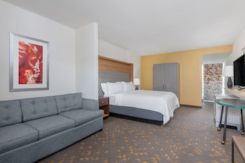 Suite, 1 King Bed, Accessible (Roll-In Shower)