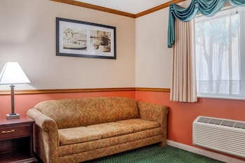 Suite, 1 King Bed, Non Smoking
