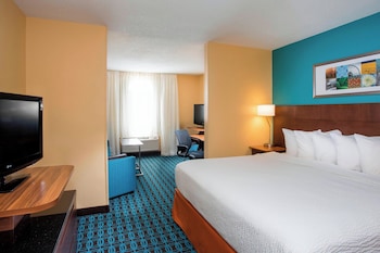 Executive Suite, 1 King Bed with Sofa bed, Mobility Accessible, Non Smoking (Bathtub W/grab Bars)
