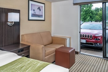 Room, 1 King Bed with Sofa bed, Accessible, Non Smoking