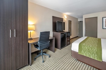 Room, 1 King Bed with Sofa bed, Accessible, Non Smoking