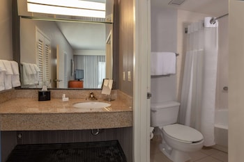 Suite, 1 King Bed with Sofa bed, Accessible (Mobility Tub One Bedroom)