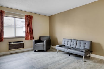 Standard Room, 1 King Bed, Non Smoking (Larger Room;with Sofabed)